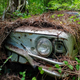 Illustration for article titled DIOCCUSA: Reclusive Renault (iwith video)/i